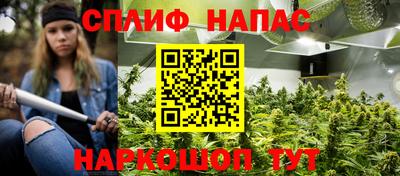 гидра Мариинск