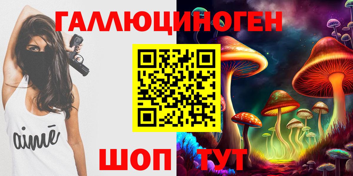 Псилоцибиновые грибы GOLDEN TEACHER  Галлюциногенные грибы прущие грибы  Карасук  Вход с VPN 