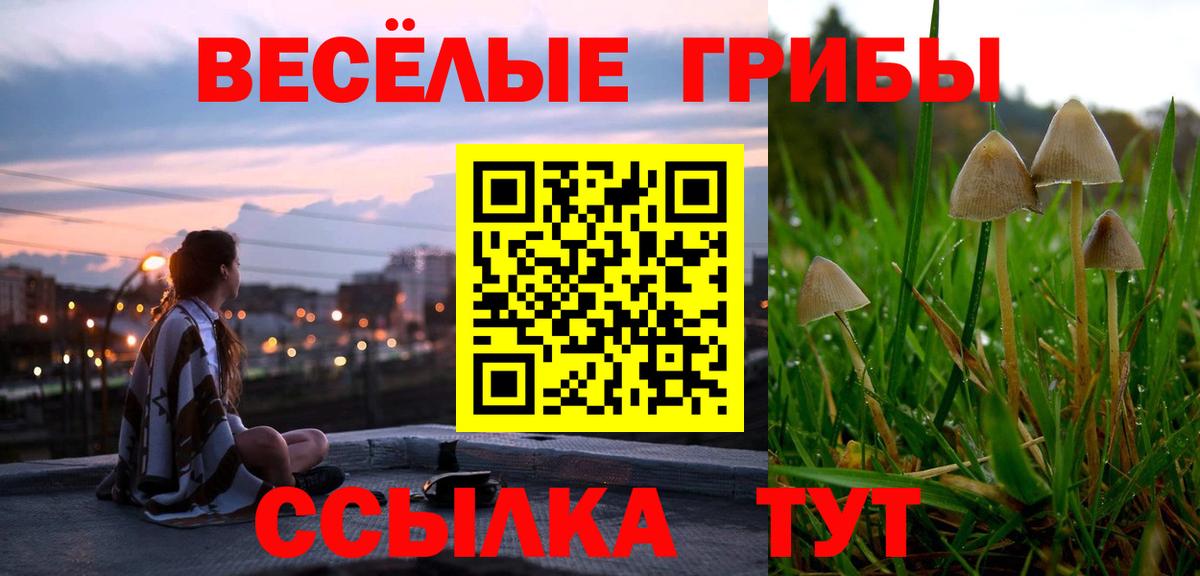 Галлюциногенные грибы Psilocybe Карасук